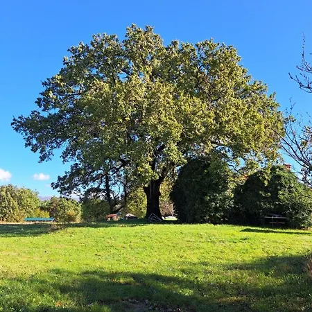 Sabavia Appartement *